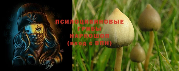 мет Горно-Алтайск