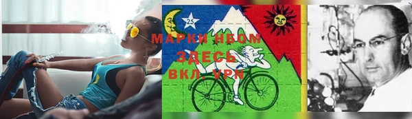 стафф Дмитровск