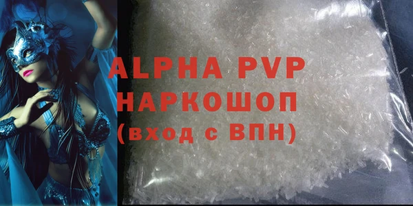 шишки Гусиноозёрск